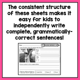 Sentence Writing Practice Sheets for Kindergarten | Structured Writing