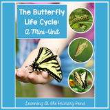 Life Cycle of a Butterfly | Science and Literacy Unit