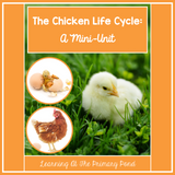 Life Cycle of a Chicken | Science and Literacy Unit