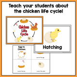 Life Cycle of a Chicken | Science and Literacy Unit