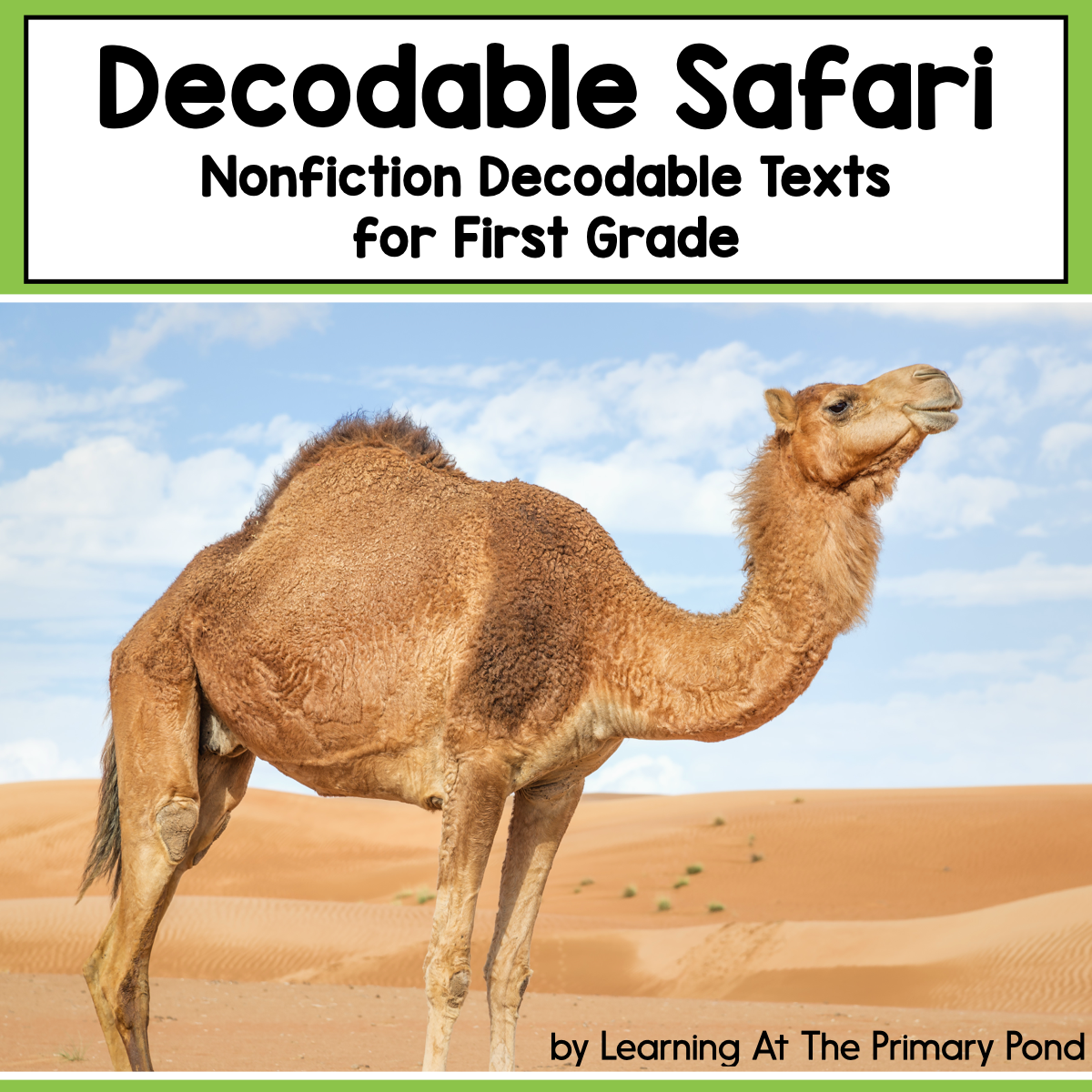 Decodable Safari Bundles – Learning at the Primary Pond