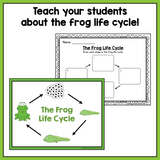 Life Cycle of a Frog | Science and Literacy Unit