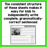 Sentence Writing Practice Sheets for 2nd Grade | Structured Writing