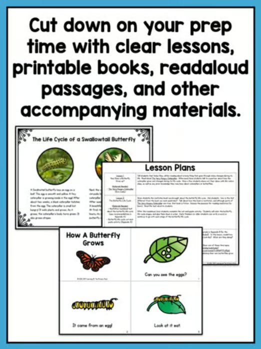 Life Cycle of a Butterfly | Science and Literacy Unit - learning-at-the-primary-pond