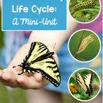 Life Cycle of a Butterfly | Science and Literacy Unit - learning-at-the-primary-pond