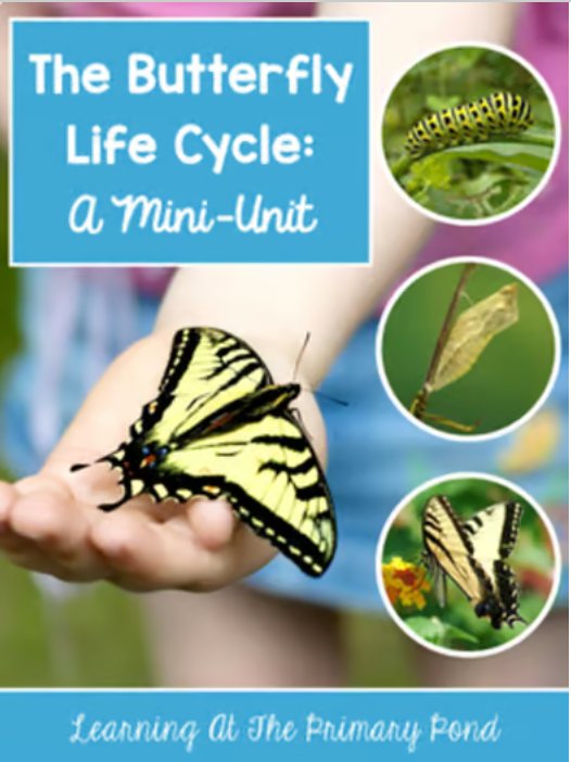 Life Cycle of a Butterfly | Science and Literacy Unit - learning-at-the-primary-pond