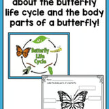 Life Cycle of a Butterfly | Science and Literacy Unit - learning-at-the-primary-pond