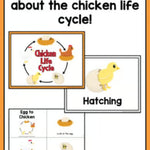 Life Cycle of a Chicken | Science and Literacy Unit - learning-at-the-primary-pond