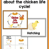 Life Cycle of a Chicken | Science and Literacy Unit - learning-at-the-primary-pond