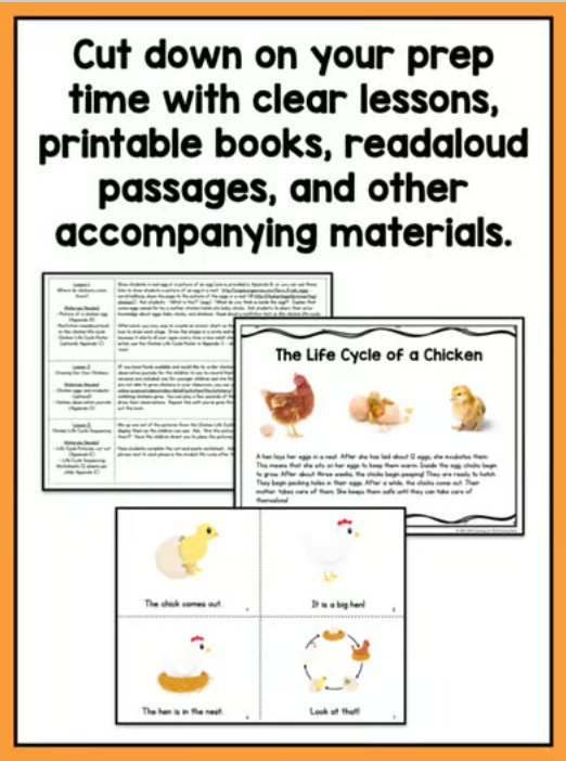 Life Cycle of a Chicken | Science and Literacy Unit - learning-at-the-primary-pond