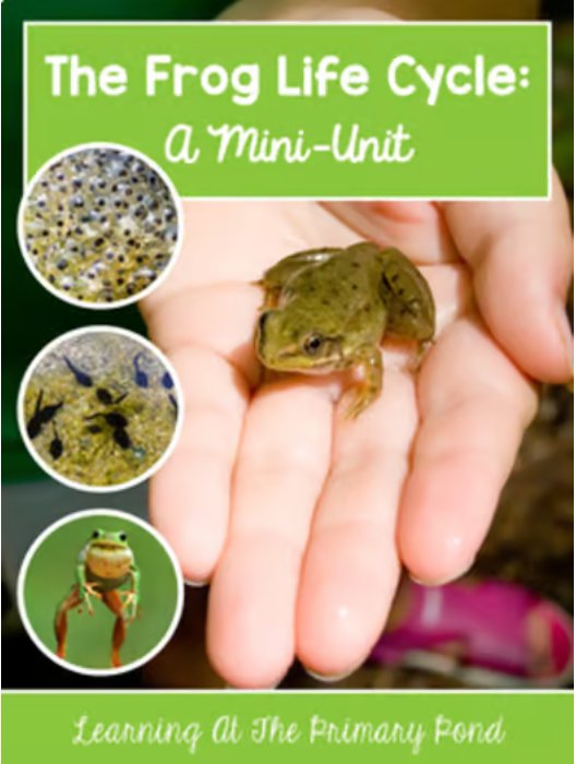 Life Cycle of a Frog | Science and Literacy Unit - learning-at-the-primary-pond