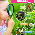 Plant and Animal Life Cycles | Activities & Lessons Bundle - learning-at-the-primary-pond