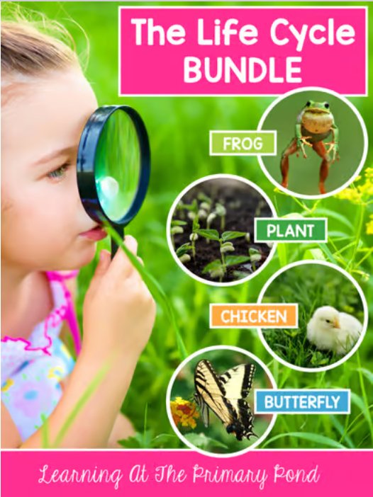 Plant and Animal Life Cycles | Activities & Lessons Bundle – learning ...