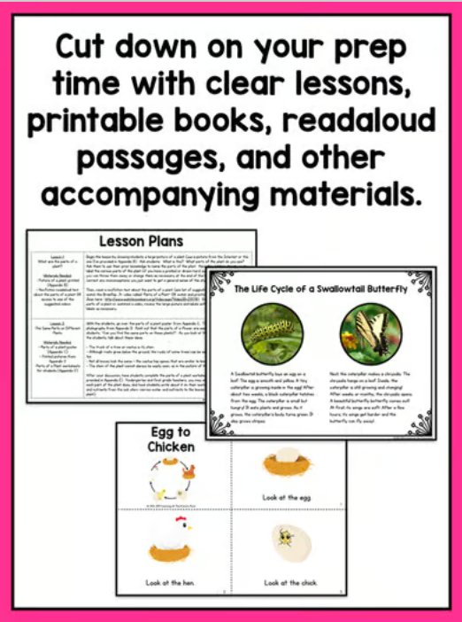 Plant and Animal Life Cycles | Activities & Lessons Bundle – learning ...