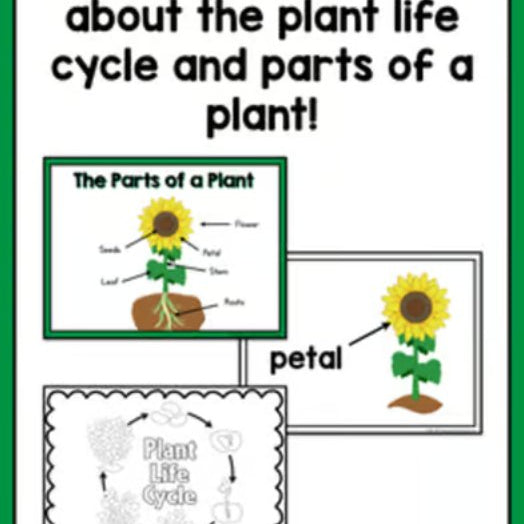 Plant Life Cycle and Parts of a Plant | Science and Literacy Unit - learning-at-the-primary-pond