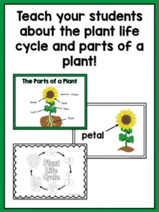 Plant Life Cycle and Parts of a Plant | Science and Literacy Unit - learning-at-the-primary-pond