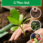 Plant Life Cycle and Parts of a Plant | Science and Literacy Unit - learning-at-the-primary-pond