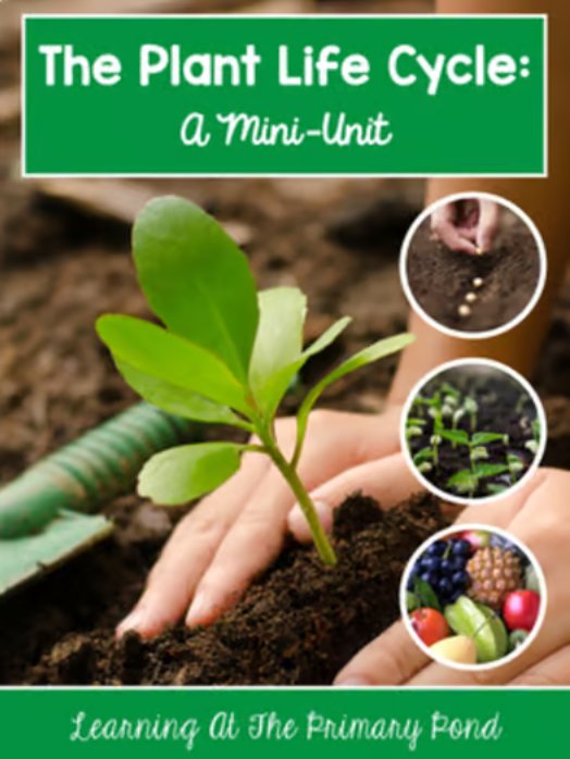 Plant Life Cycle and Parts of a Plant | Science and Literacy Unit - learning-at-the-primary-pond