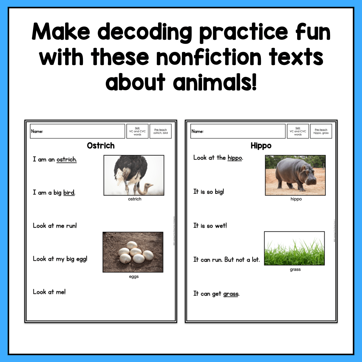 Decodable Safari Texts | Nonfiction Decodable Passages for Kindergarten - learning-at-the-primary-pond
