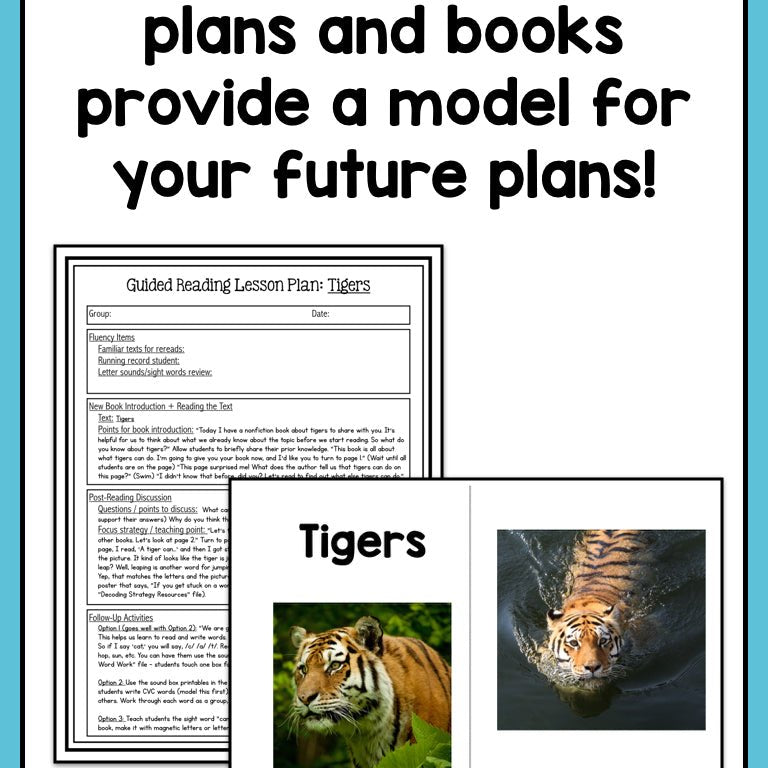 Guided Reading Activities and Lesson Plans for Level A - learning-at-the-primary-pond