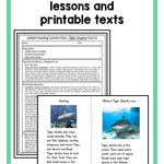 Guided Reading Activities and Lesson Plans for Level H - learning-at-the-primary-pond