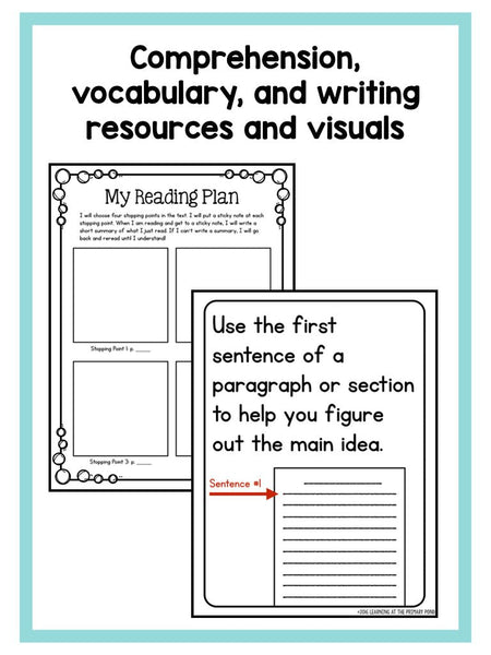 Guided Reading Activities and Lesson Plans for Level N - learning-at-the-primary-pond