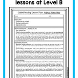 Guided Reading Activities and Lesson Plans - Levels A, B, and C BUNDLE - learning-at-the-primary-pond