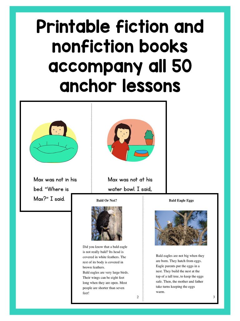 Guided Reading Activities and Lesson Plans - Levels A Through J BUNDLE - learning-at-the-primary-pond