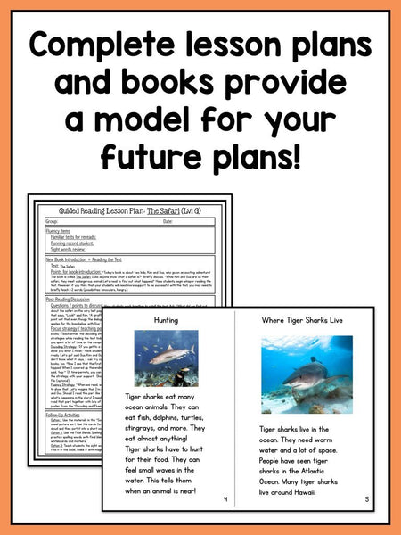 Guided Reading Activities and Lesson Plans - Levels E Through J BUNDLE - learning-at-the-primary-pond