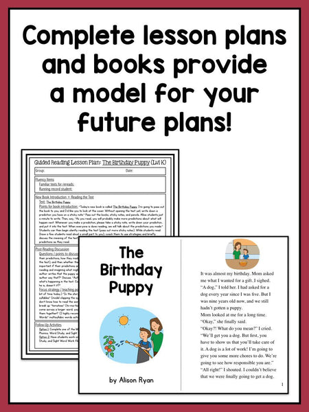 Guided Reading Activities and Lesson Plans - Levels K Through N BUNDLE - learning-at-the-primary-pond